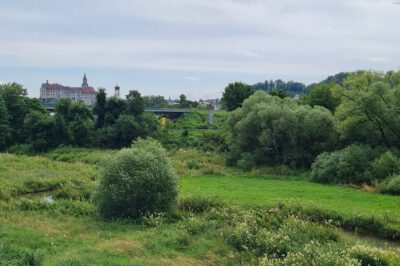 Ausblick Schloss Sigmaringen