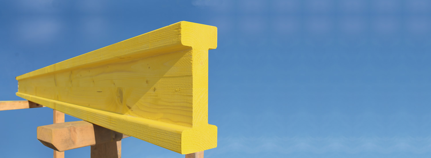 C20N Schalungsträger